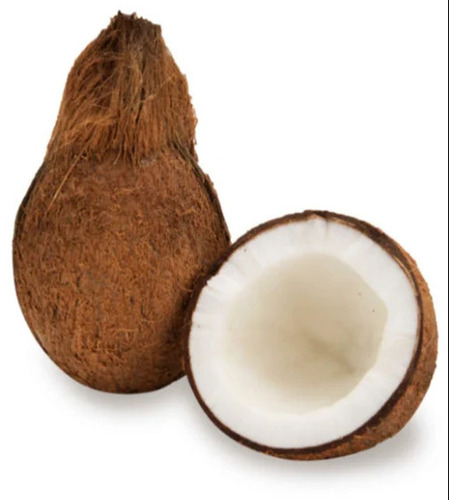 Fresh Coconuts - Color: Brown