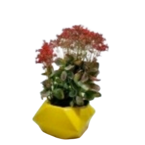 Decorative Table Top Planter