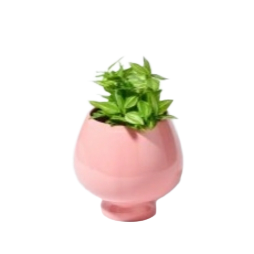 Fancy Table Top Planter - Crack Resistant Lightweight Material, Various Colors, Polished Finish, Planting Use