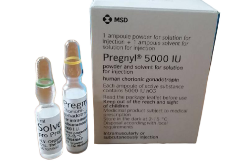 Pregnyl 500mg Injection - Lyophilized Powder for Solution, Human Chorionic Gonadotropin with Mannitol and Phosphate Buffers