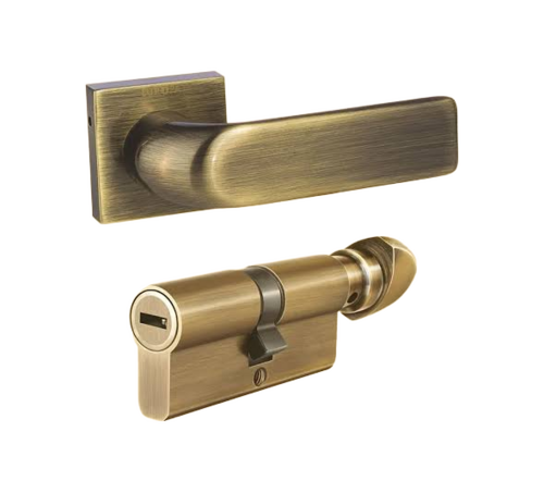 Rose Mortice Handle with Cylinder