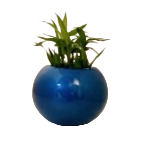 Table Top Frp Planter - FRP, Various Colors, Polished Finish | Lightweight, Crack Resistant
