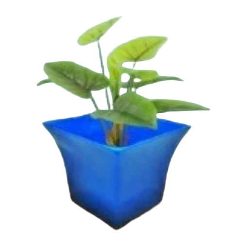 Table Top Planters - Plastic Blue Polish Finish | Customizable Tested Quality Timely Delivery