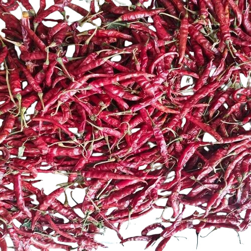 Dry Red Chilli