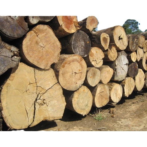 Red Sandalwood Logs