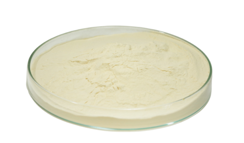 Fish Amino Acid Powder - Fish Protein Hydrolysate, Off White | Organic Farming, Plant Growth Promoter, Soil Conditioner