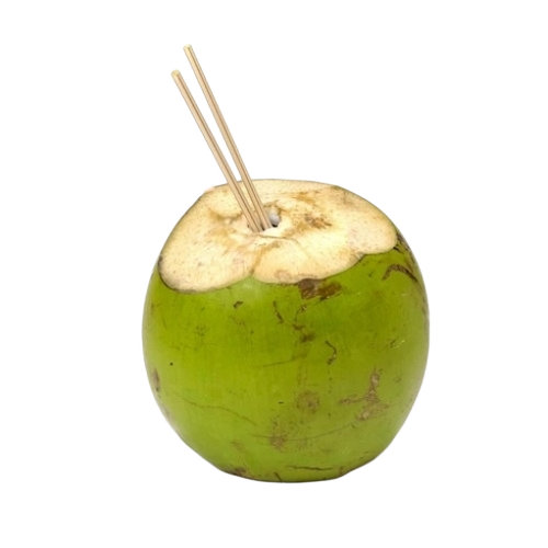 Tender Coconut - Fresh Green, Whole Husk | Common Cultivation, Young Diamond Shape