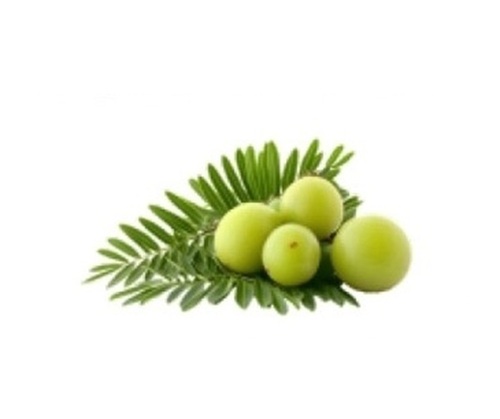 Amla Powder