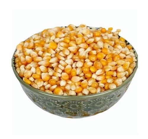 Yellow Corn