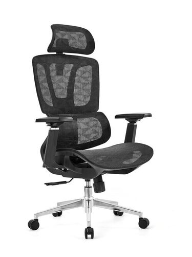 Crow Back Office Chair - Plastic & Steel Frame, Multi Color | Durable, Easy to Clean, Adjustable Height, Ergonomic Design