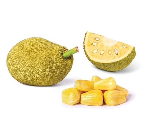 Jack Fruit - Cultivation Type: Organic