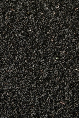 Black Soil - Fine Well-Sieved Powder Balanced pH 5.5-7.5 | High Moisture Retention Organic Pest Free