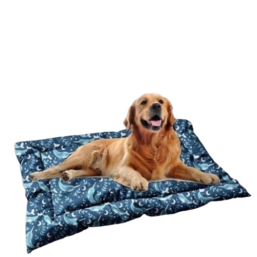 Blue Polyester Dog Bed - Medium Size, Blue | Washable, Good Quality Polyester for Pet Care