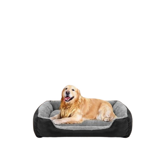 Orthopedic Pet Bed - Polyester Fabric 48x37x18 cm Multicolor | Orthopedic Support Foam Rectangular Shape 2 Year Warranty