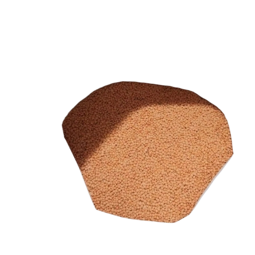 Masoor Daal