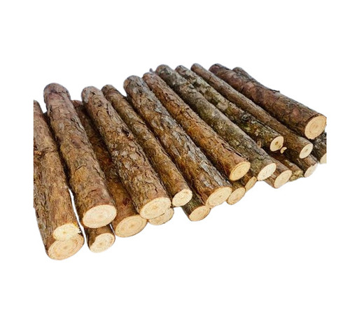 Pine Wood Logs