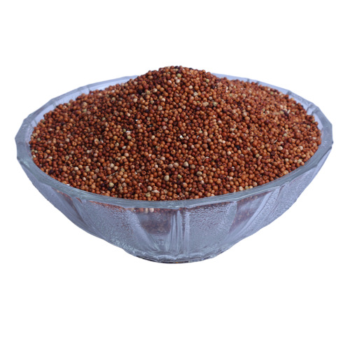 Ragi (Finger Millet)