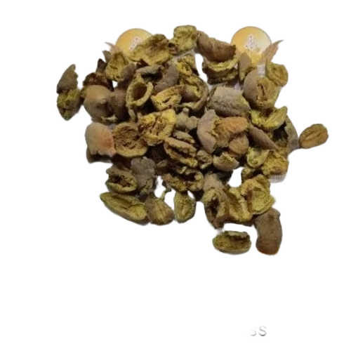 Terminalia Bellirica - Solid Herbal Form, Antioxidant Rich | Hair Strength, Scalp Nourishment, Digestive Detox