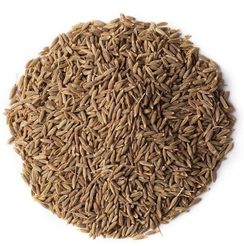 Cumins Seeds