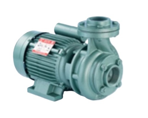 Mono Block Pump - Metal Standard Size, Green | Durable Motor, Energy Efficient, Corrosion Resistant