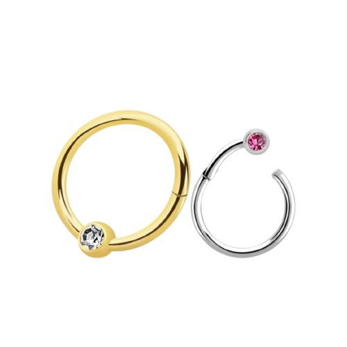 316L Surgical Steel And Titanium Astm F-136 Hinged Segment Ring - Grade: Premium