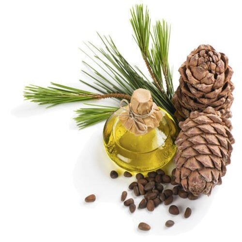 Cedar Wood Essential Oil