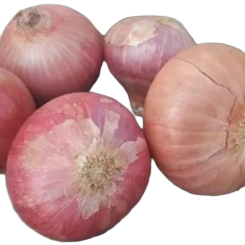 Fresh Onion - Raw Round Variety, Seasoned | Long Shelf Life, Quality Tested, Hygienically Packed
