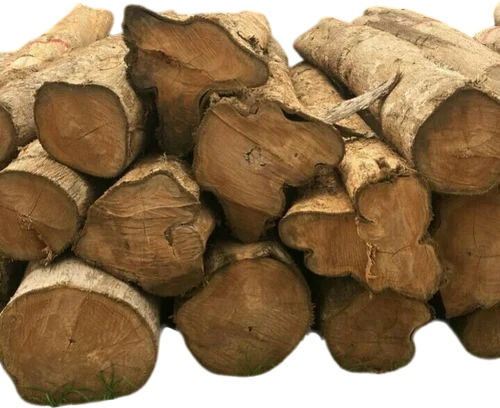 Platation Teak Wood - Solid Customized Size Low Moisture Content | Fine Finished Durable A Grade