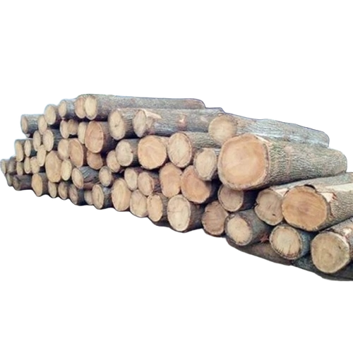 Teak Wood Log