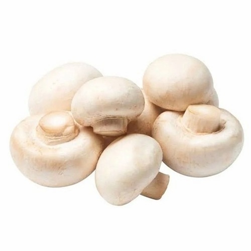 Button Mushroom