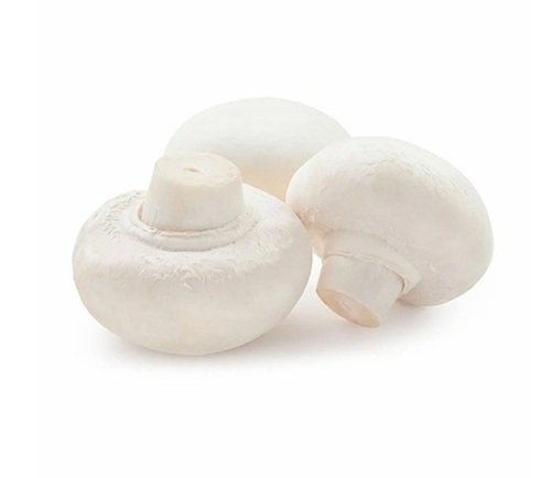 Fresh Button Mushroom