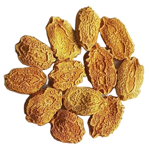Bitter Gourd Seeds - Yellow, Organic, Hybrid Vegetable Seeds, Pesticide-Free