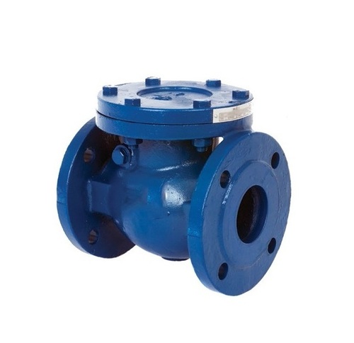 Cast Iron Check Valve