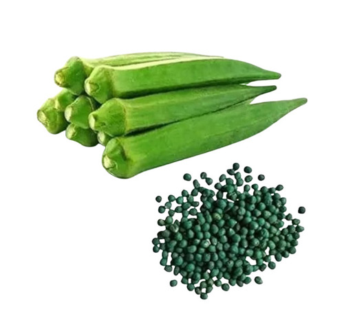 Lady Finger Seeds - Solid Green, Organic Hybrid | 100% Purity, Pesticide-Free, Grade A Vegetables Seeds