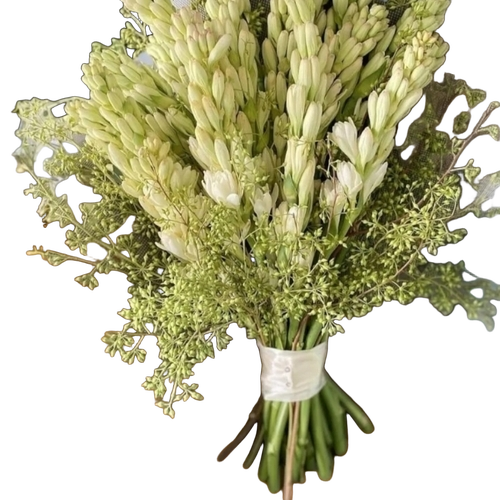 Fresh Rajnigandha Flowers - White & Green Standard Size | Fresh Floral Variety 5 to 10 Days Shelf Life Eco-Friendly Insect Resistant
