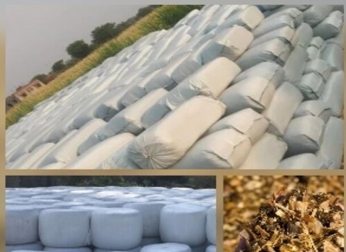 Corn Silage - Color: Light Brown