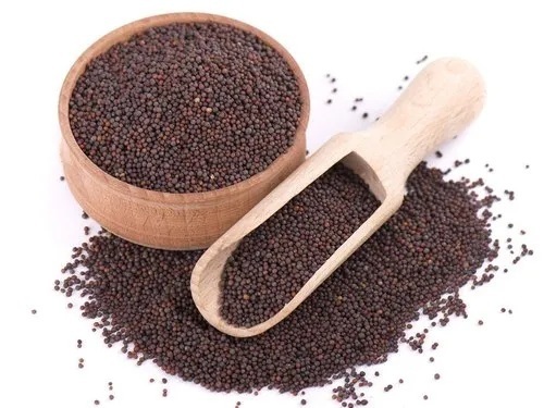 Organic Mustard Seed