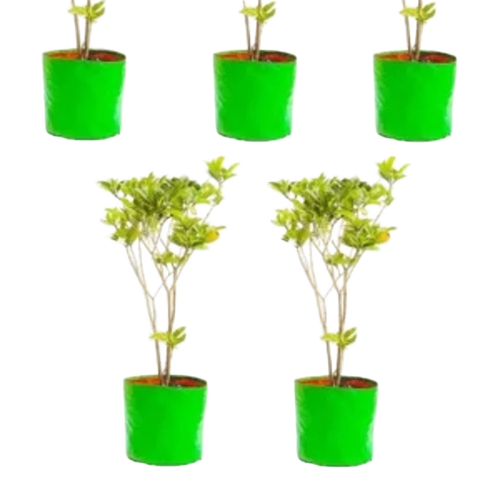 Green Plant Grow Bags