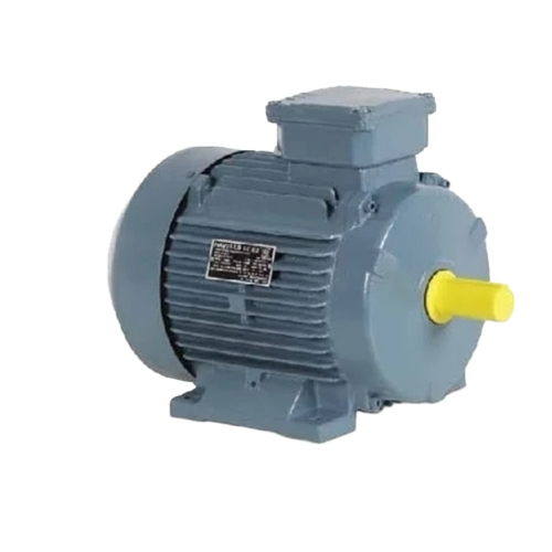 Industrial Electric Motors