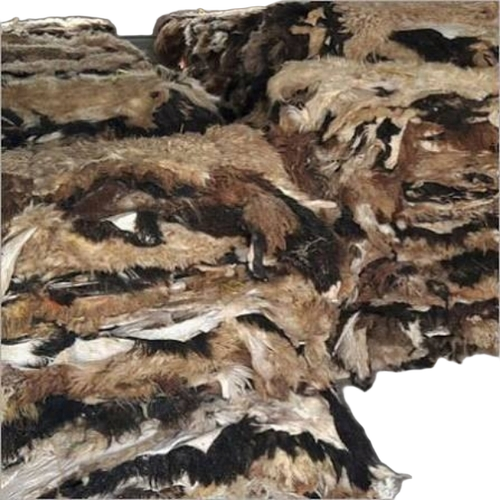 Sheep Leather