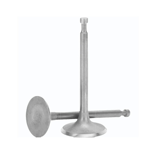 Silver Automotive Engine Valves