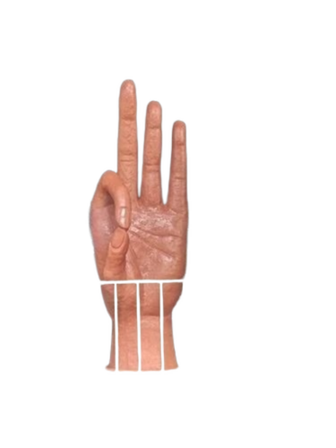 Frp Chin Hand Mudra