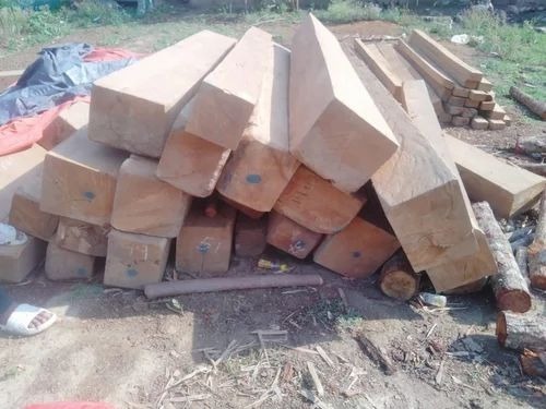 Burma Teak Wood 