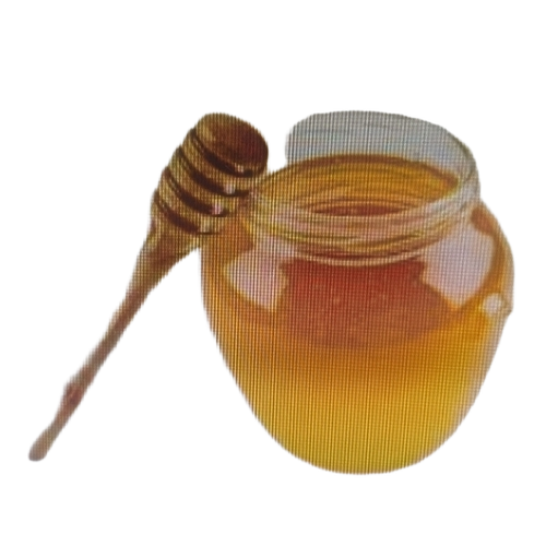 Organic Honey - India Origin, Grade A | Delicious, Fresh, Healthy, Nutritious, No Additives