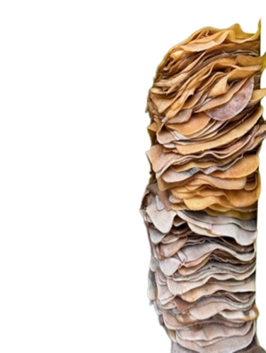 Natural Rubber Dry Lot (Sun Dry Sheet) - Color: Black