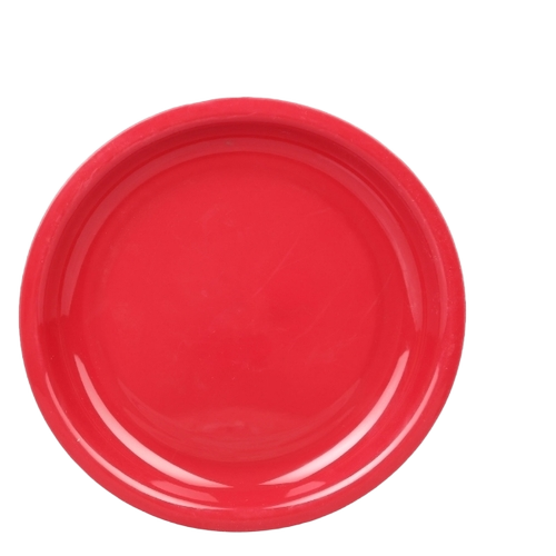 Plastic Plate 