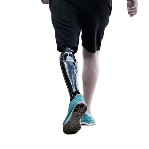 Artificial Leg