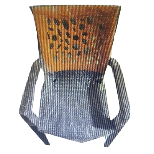 Stylish Plastic Chair