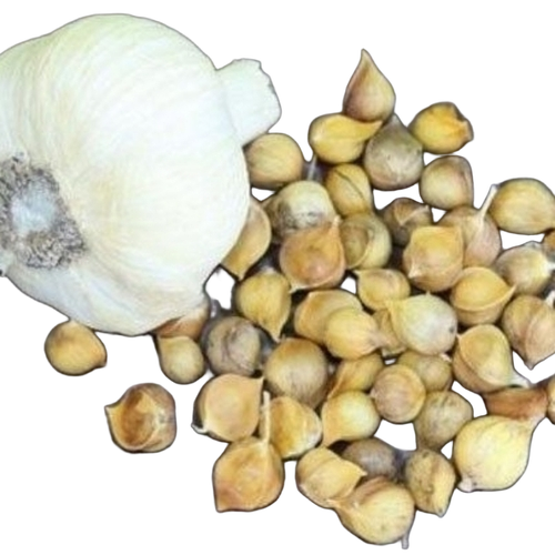 Fresh Garlic