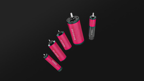 DC2248 Coreless Brushless Motor
